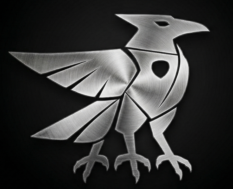 AIIAN logo